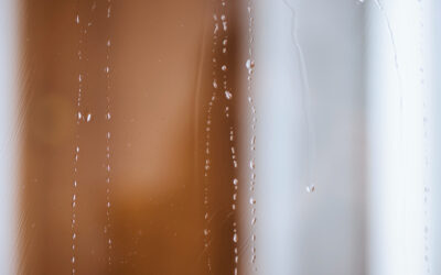 ¿Cómo Afecta la Humedad Relativa al Rendimiento de un Cuarto Limpio?